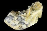 Quartz Encrusted Yellow Fluorite With Galena - Morocco #174583-4